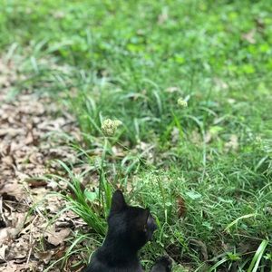 Meet your Posher, Kathleen